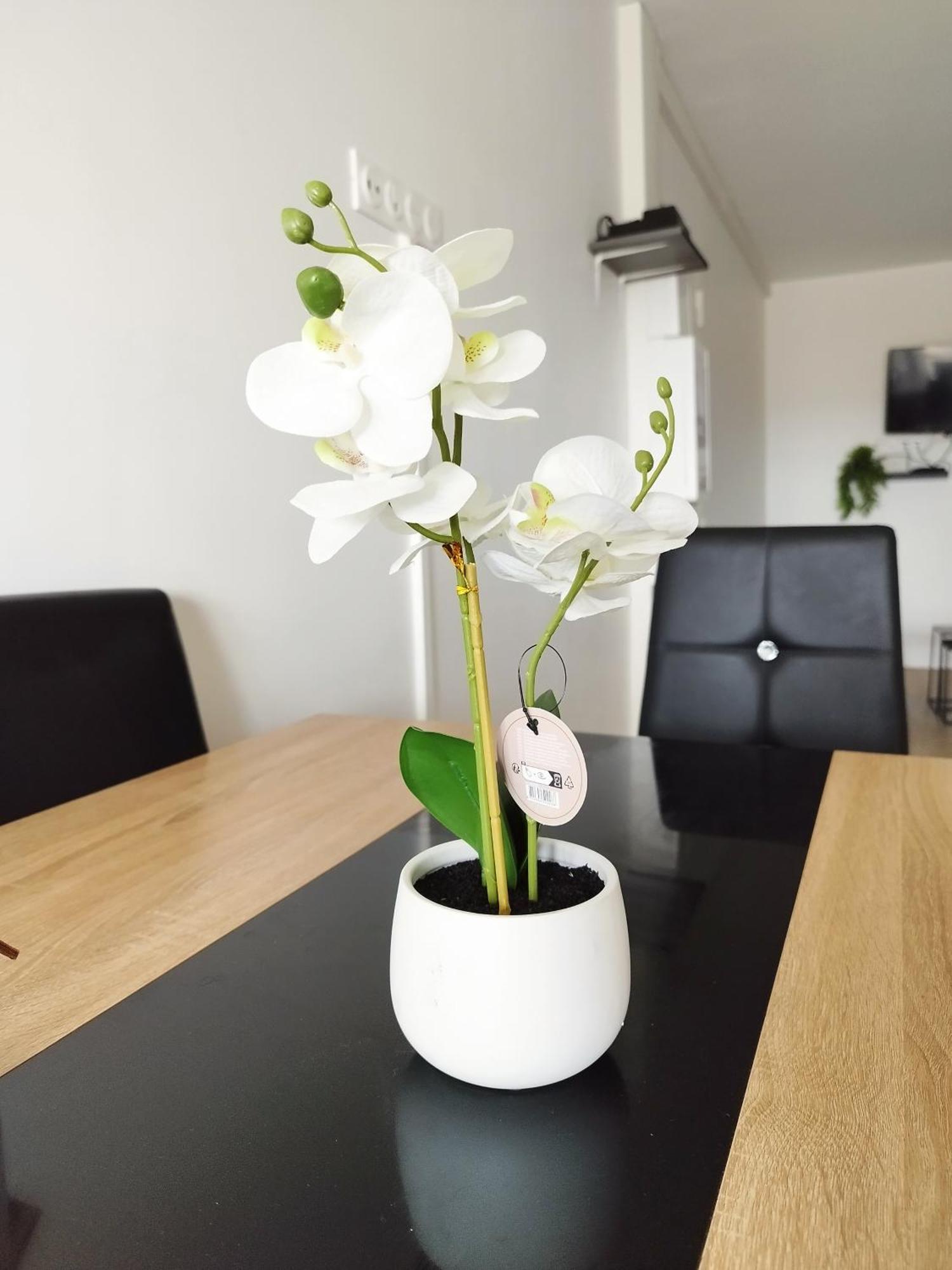 Apartament Parisian Cosy Flat With Balcony Argenteuil Zewnętrze zdjęcie
