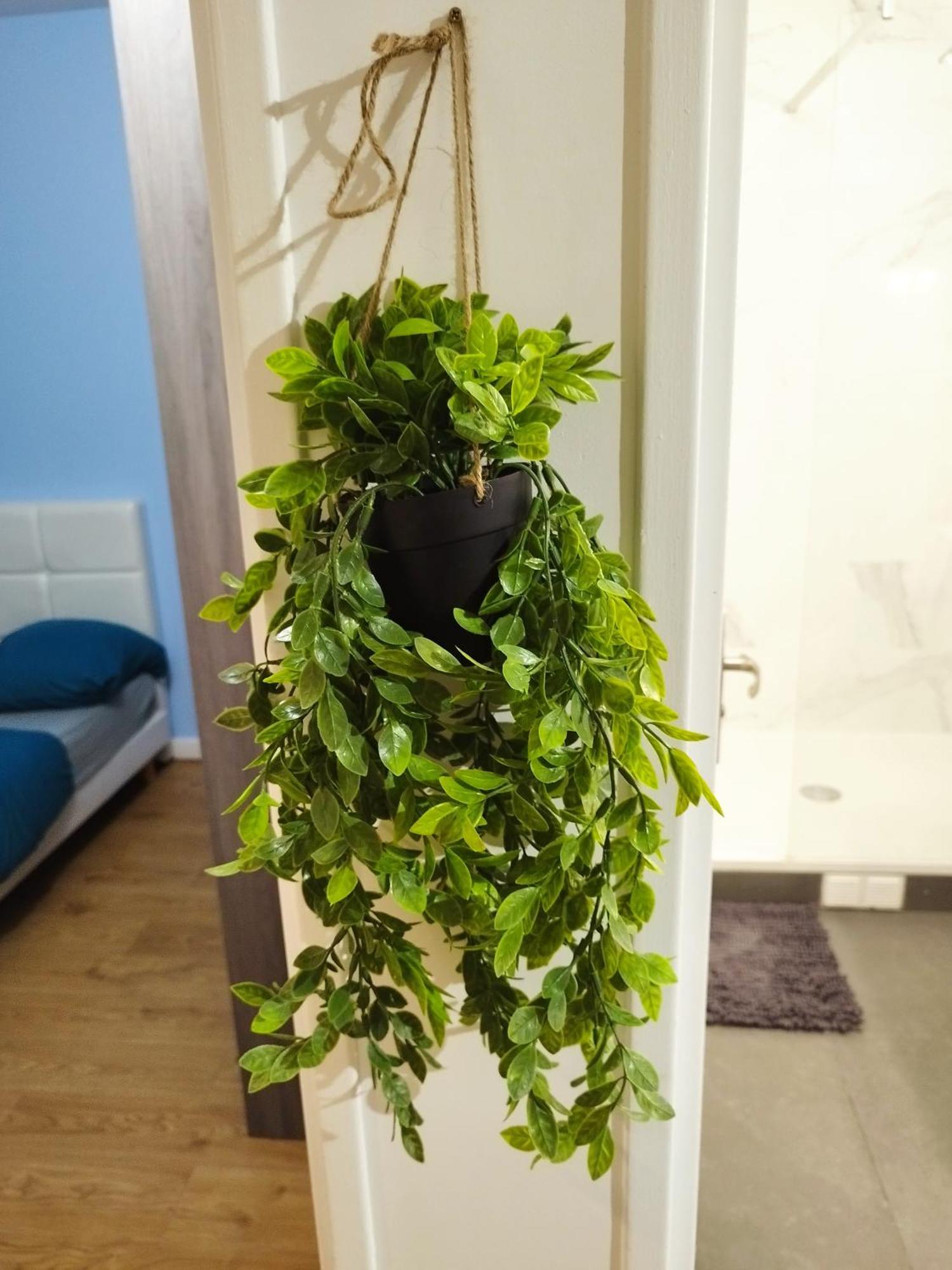 Apartament Parisian Cosy Flat With Balcony Argenteuil Zewnętrze zdjęcie